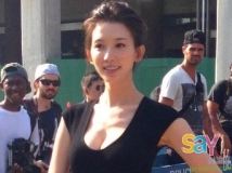 林志玲爆乳凸襲好萊塢　大曬5吋事業線 正翻 [3P]