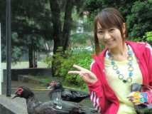 桃園成功路郵局正妹丁心儀(27P)