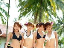 日本比基尼妹[35P]