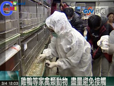 h5n2病毒