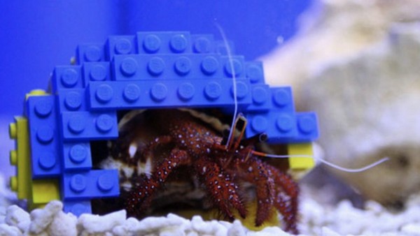 lego 寄居蟹