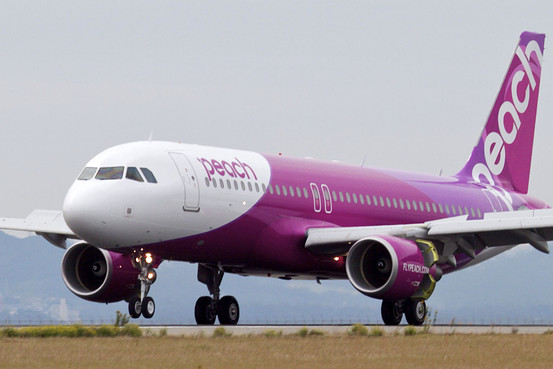 日本桃子航空